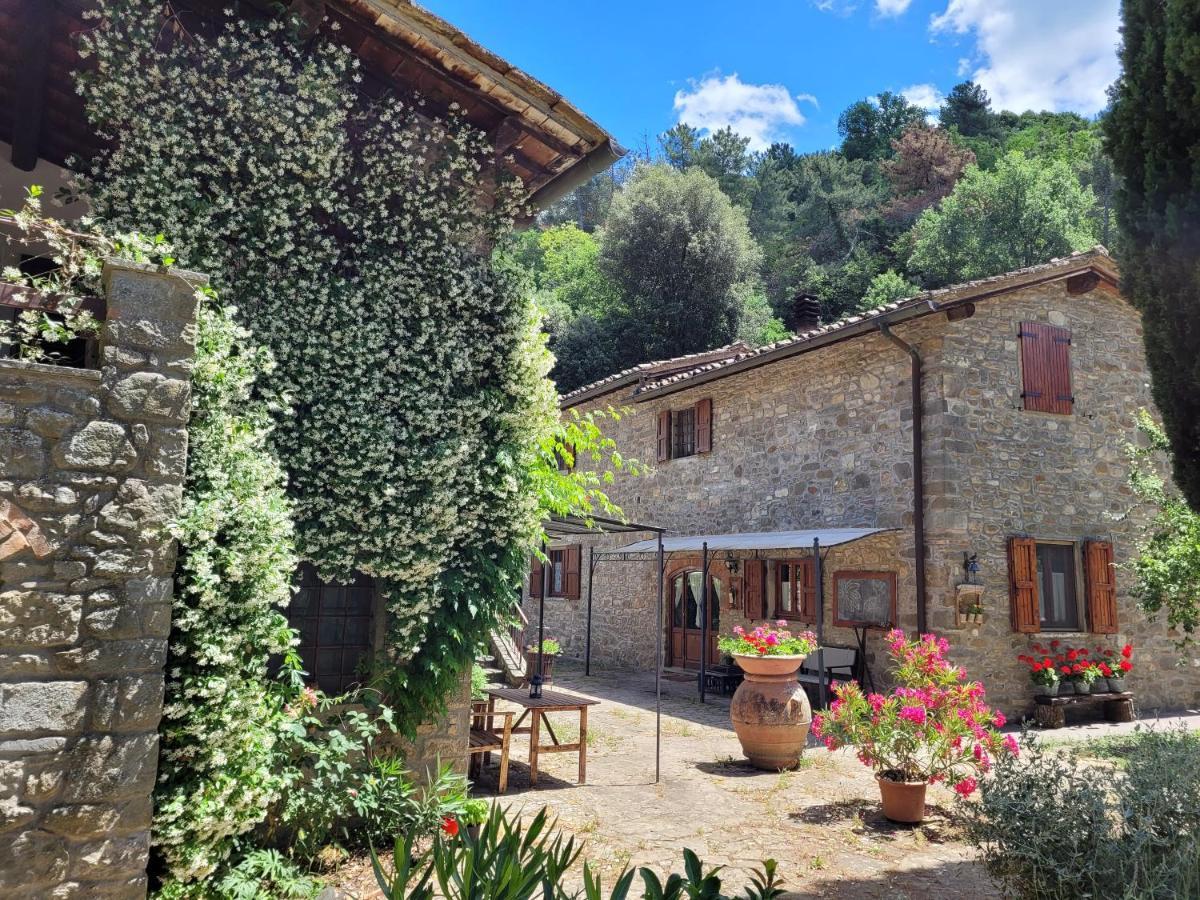 La Casa Nel Chianti Apartment Greve in Chianti Bagian luar foto