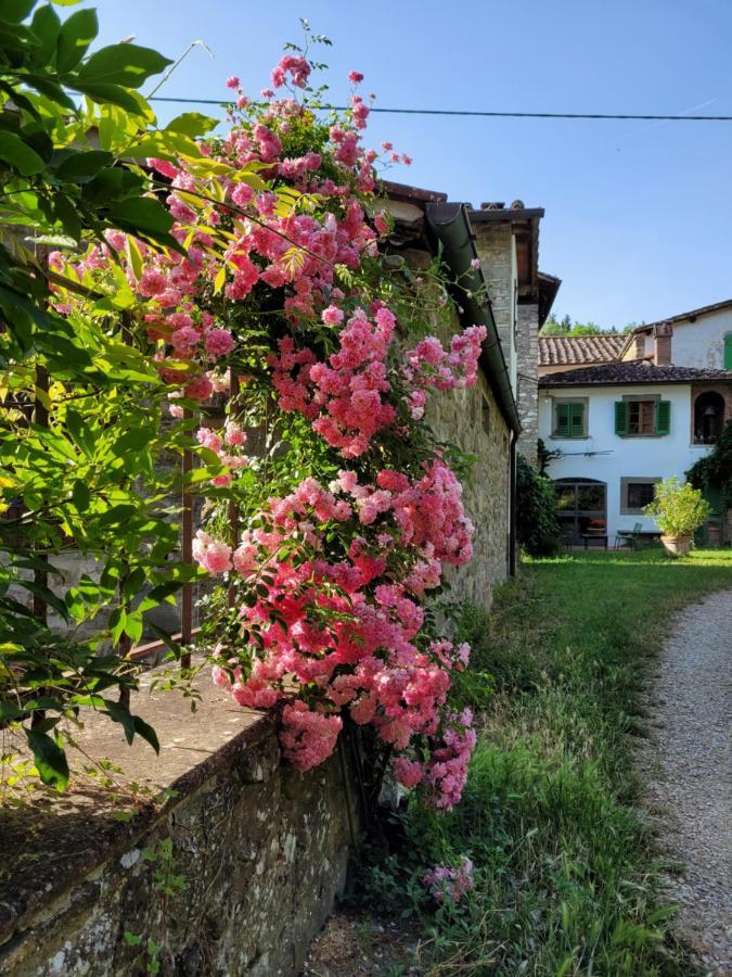 La Casa Nel Chianti Apartment Greve in Chianti Bagian luar foto