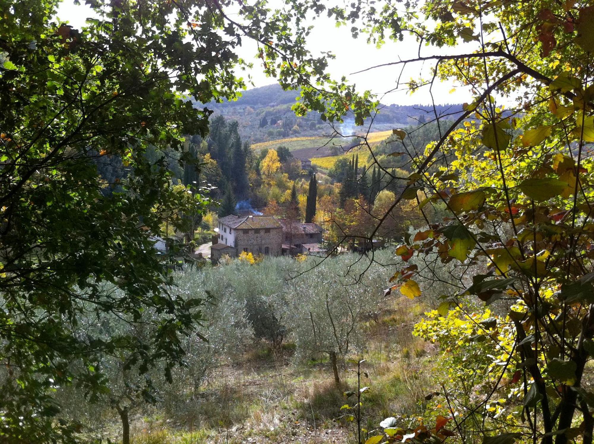 La Casa Nel Chianti Apartment Greve in Chianti Bagian luar foto