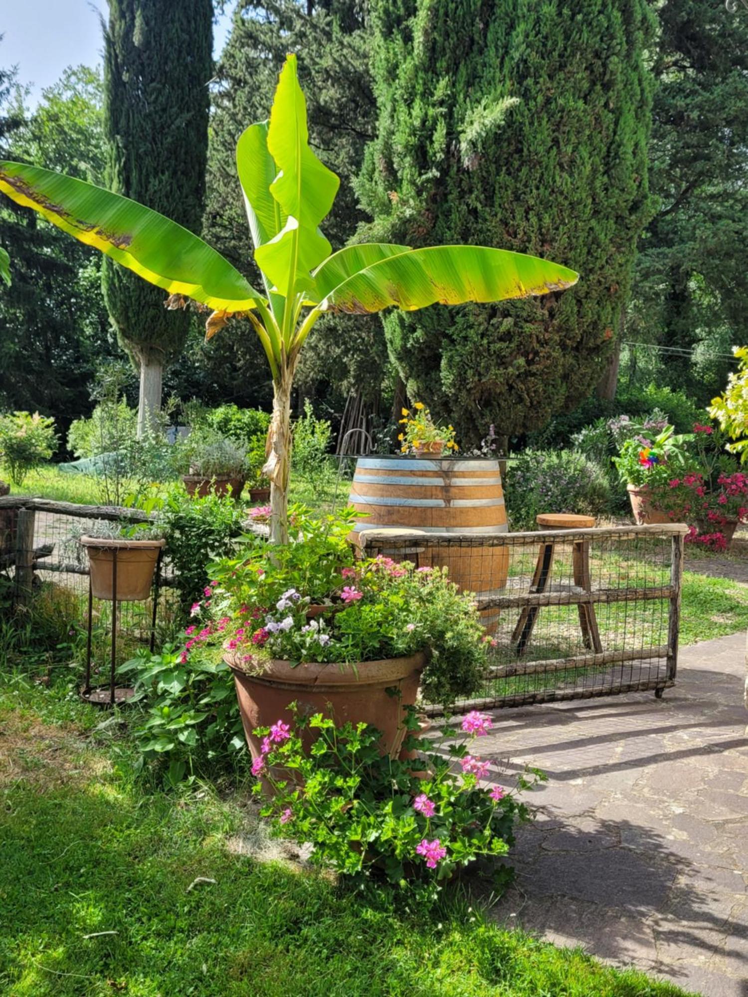 La Casa Nel Chianti Apartment Greve in Chianti Bagian luar foto