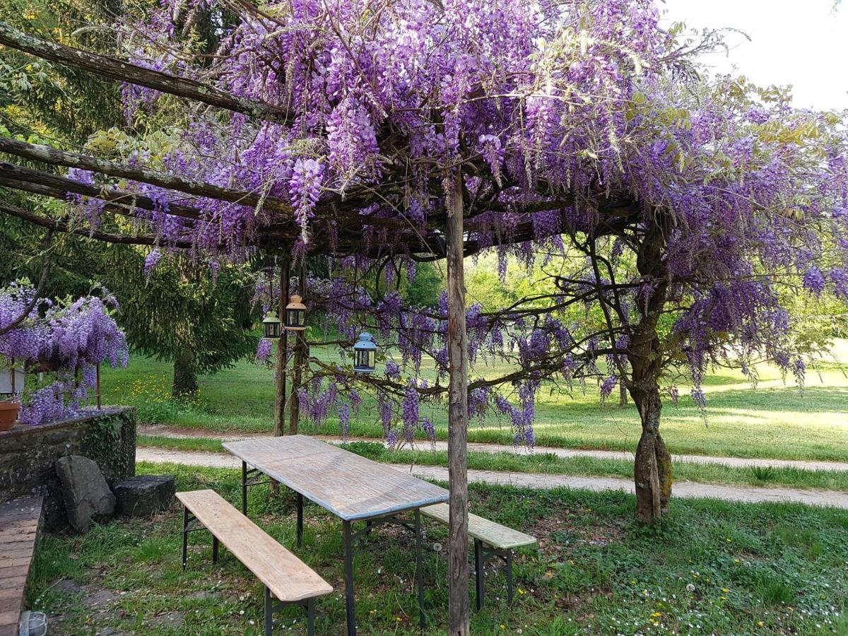 La Casa Nel Chianti Apartment Greve in Chianti Bagian luar foto